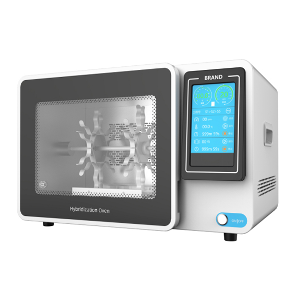 Molecular Hybridization